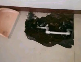 景宁卫生间测漏水多少钱